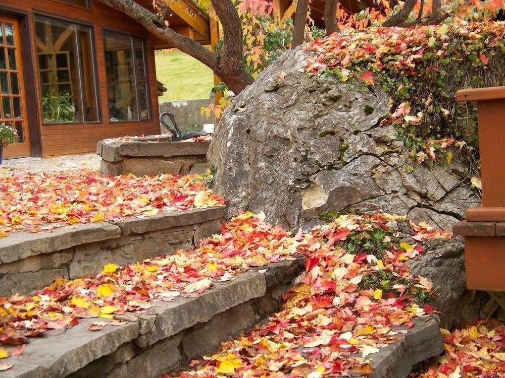 Kapristo Lodge โกลเดน ภายนอก รูปภาพ